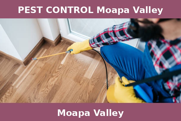 PEST CONTROL Moapa Valley
